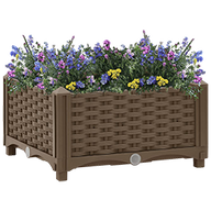 Pots & Planters